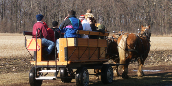 MapleFest at Glenna Farms